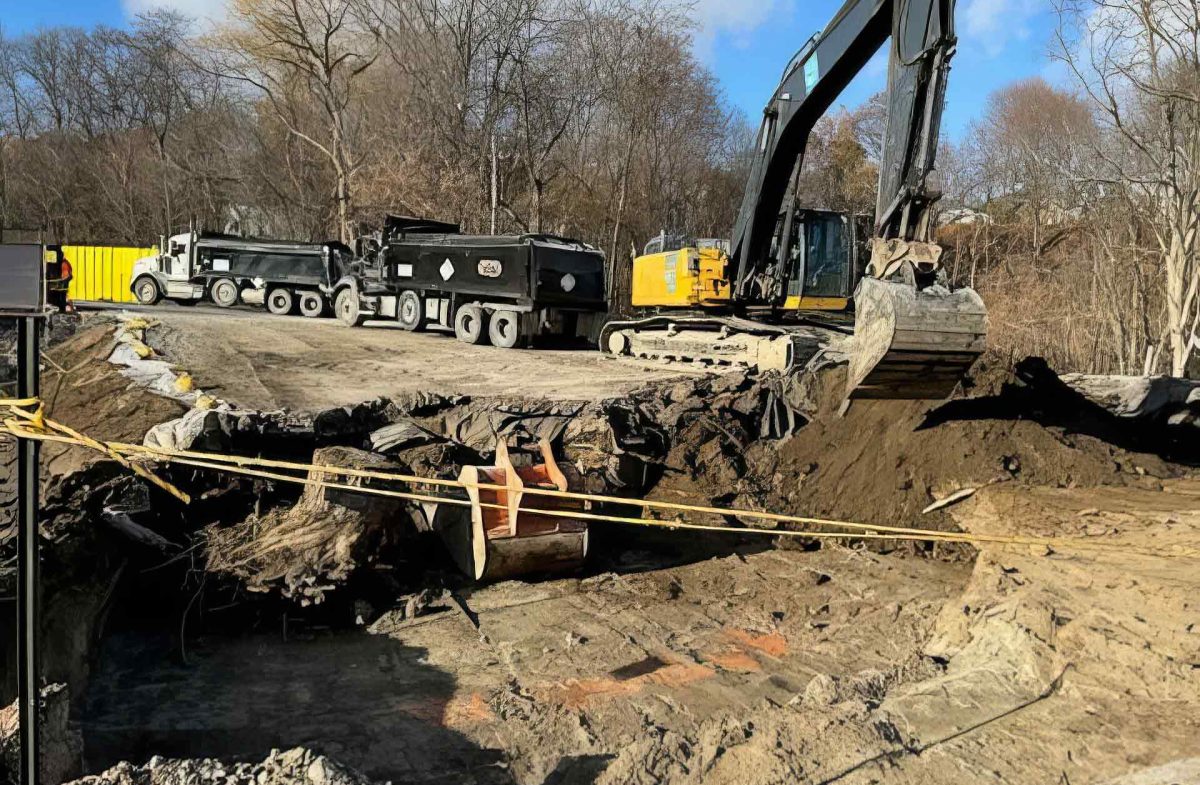 Lions-Park-Remediation